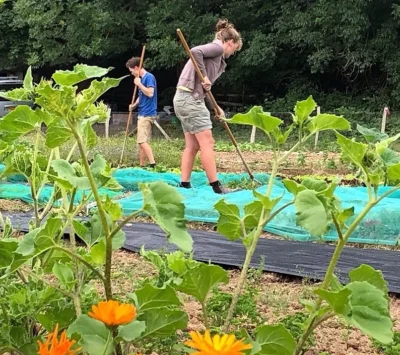 working on Stonelynk Farm, Fairlight, Hastings.